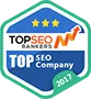 Named #1 Digital Agency in Many Countries! - PG模拟器xinrui